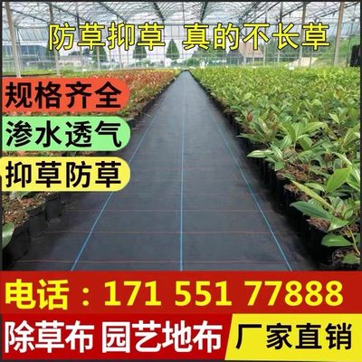 防草布农用除草布果园抗老化果树耐用地膜透气保湿园艺地布盖草遮