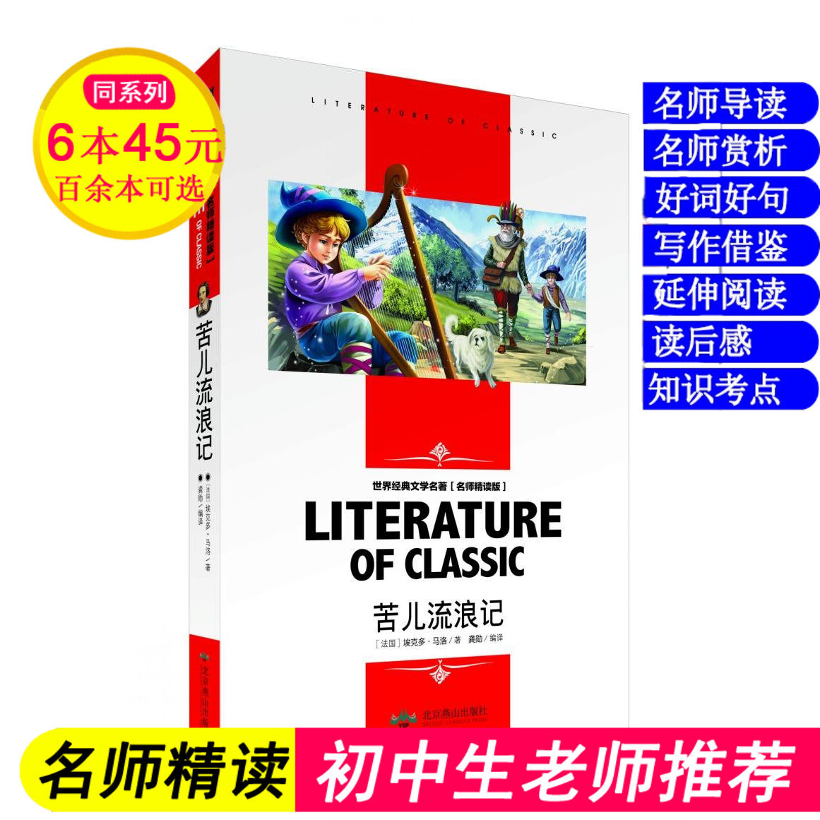 名师精读版苦儿流浪记中小学生阅读世界文学名著
