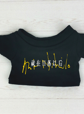 孙燕姿演唱会同款17cm拉布布labubu娃衣10/15/20cm棉花娃娃衣服