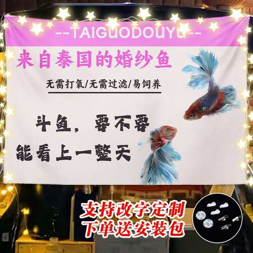 泰国婚纱斗鱼后备箱挂布摆摊桌布夜市集市广告布装饰布摊位宣传