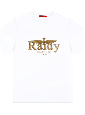 Raidy Boer/雷迪波尔男装夏新烫钻胶印飞鹰棉微阔圆领短袖T恤7609