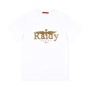 Raidy Boer/雷迪波尔男装夏新烫钻胶印飞鹰棉微阔圆领短袖T恤7609