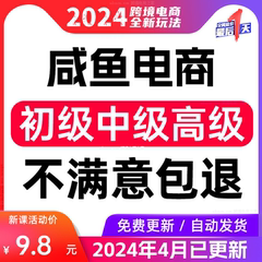 2024闲鱼赚钱教程副业网络小项目提高曝光率引流手机创业运营课程