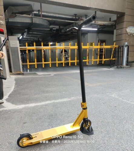 专业特技极限代步滑板车