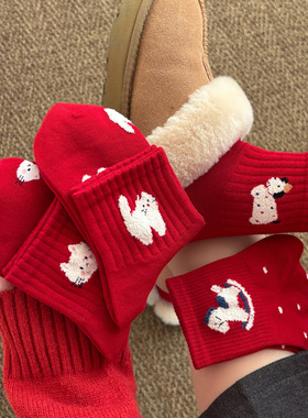 小马袜子本命年女新年礼物红色纯棉中筒袜冬女生2026新款爆款属马