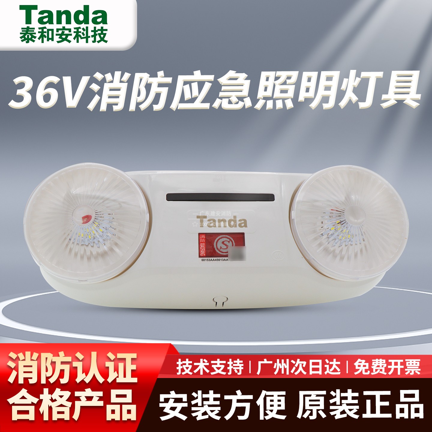 泰和安E3W-6602A应急双头灯36V