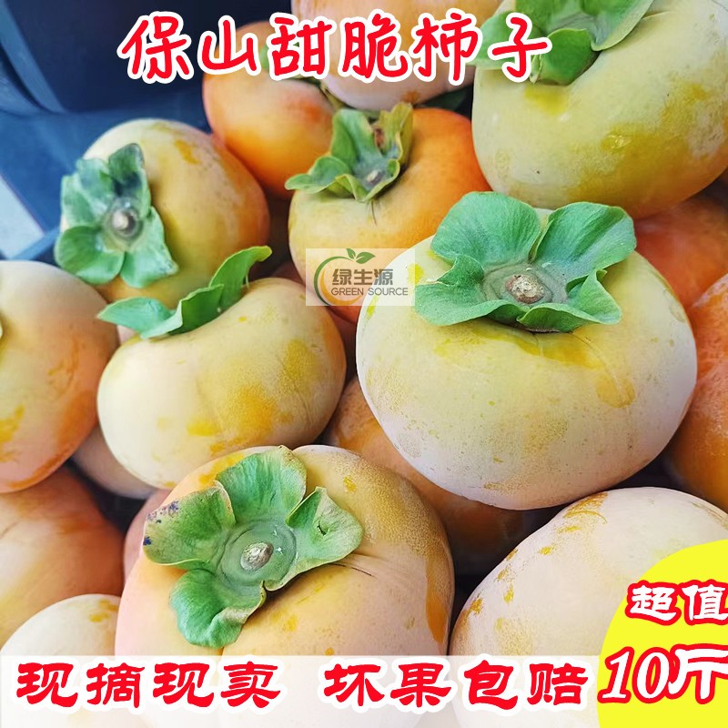 坏包赔保山甜脆柿子现摘10斤大果