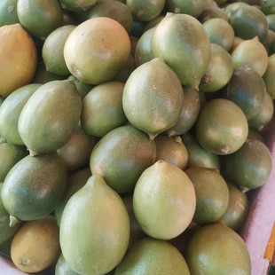 【包邮】云南潞江坝应季蔬菜水果新鲜青柠檬无籽香水柠檬撒撇茶饮