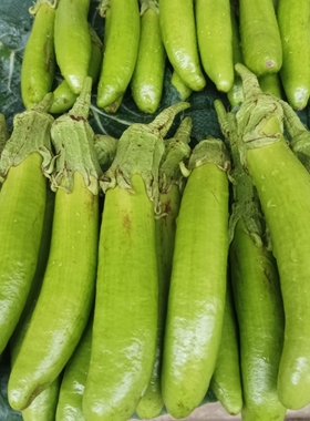 云南农户自种新鲜蔬菜青色茄子绿色绿皮长条线形茄子3斤装包邮。