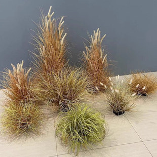 仿真草丛造景布景风滚草团秋色枯草堆菖蒲芦苇狗尾巴地面景观装饰
