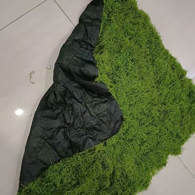 苔藓片仿真苔藓块假山装饰毛石头堆青苔植绒山丘软装造景草皮草坪