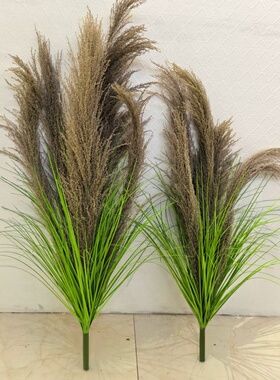 天然芦苇干花绿植摆件仿真草假花造景植物盆栽店面家居装饰摆件