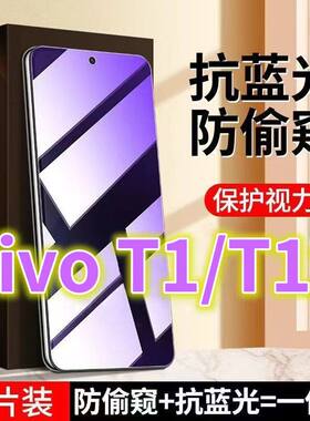 适用蓝光防窥膜vivoT1防偷窥钢化膜T1X手机膜防偷看屏幕贴膜5G黑边防窥玻璃膜V2115A全屏紫光护眼防盗膜V2123