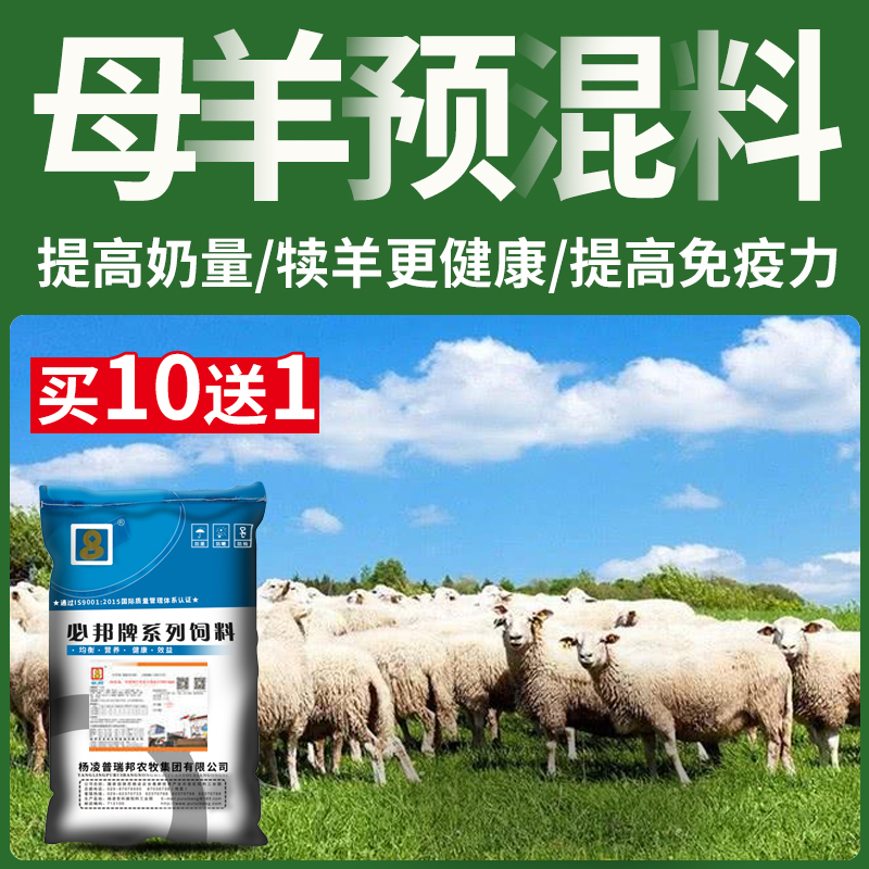 5%母羊预混料饲料复合妊娠期养羊哺乳反刍微量元素专用添加剂吃的