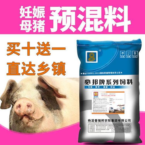 妊娠复合后备怀孕多种氨基酸母猪