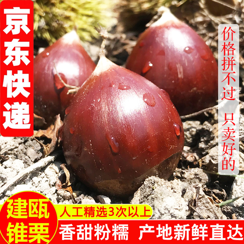 容易剥皮鲜锥栗坏果包赔手工精选