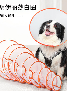 新品宠物伊丽莎白圈猫咪透明橙色PU包边防舔防咬圈美容头套狗脖圈