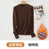 Коричневый [толстый бархат добродетели]