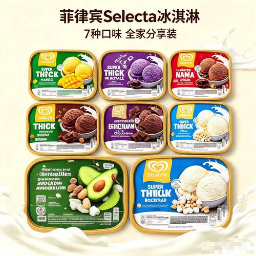 菲律宾和路雪SELECTA冰淇淋1.25L