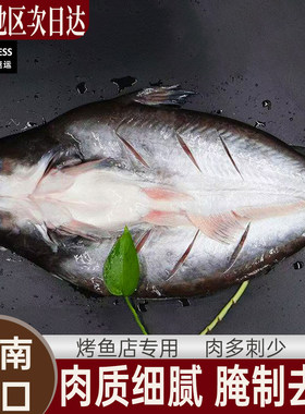 烤鱼纸包鱼专用商用整箱开背
