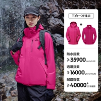 【Новые цвета выпуск】 Стиль цифровой розовой порошковой породы | Флисовый набор с двумя частями