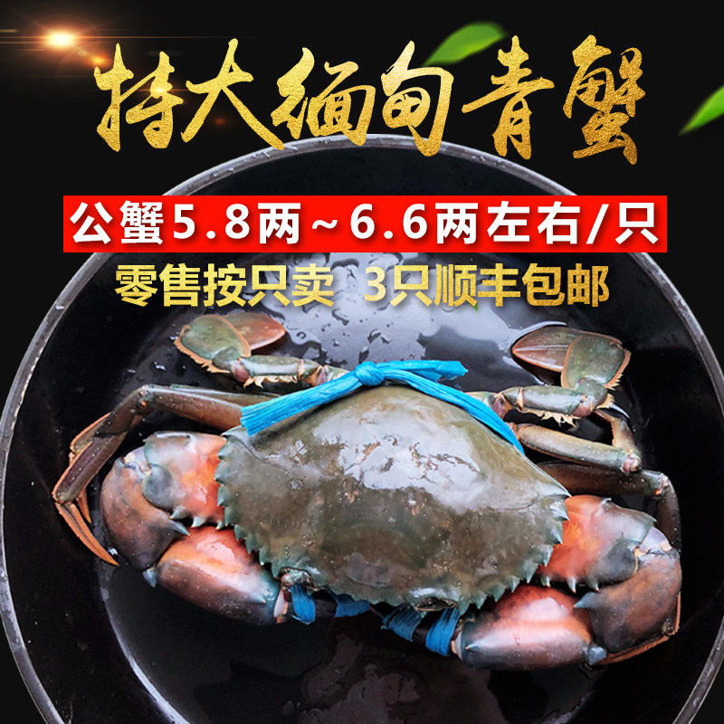 缅甸大螃蟹昆明鲜活蟹野生肉蟹孟加拉蟹迷踪蟹香辣蟹青蟹
