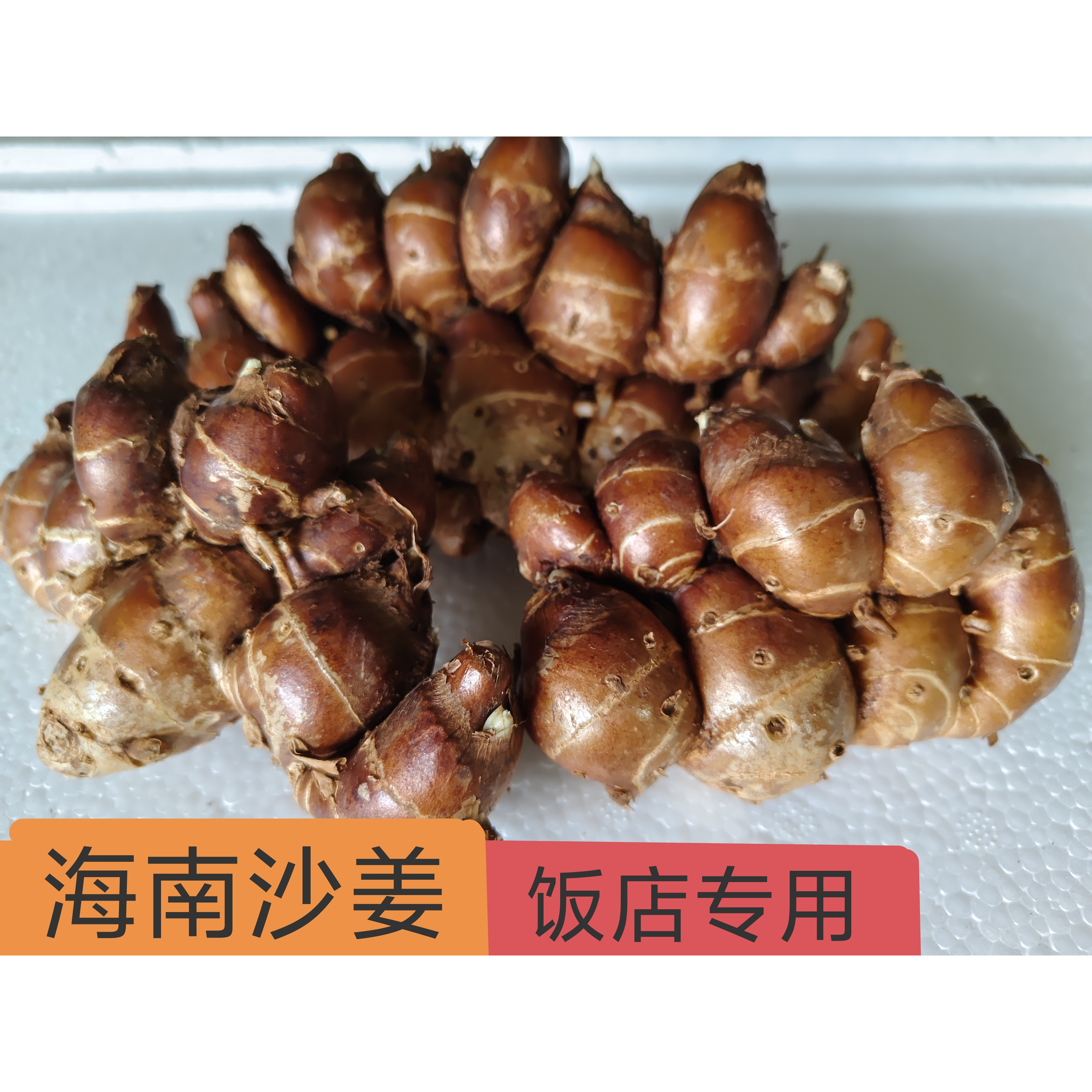 海南当季红土新鲜散沙姜山奈饭店专供椰子鸡专用佐料调配无添加剂