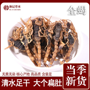 全蝎干中药材100g蝎子干全虫非无盐清水全蝎泡酒另售蜈蚣水蛭磨粉