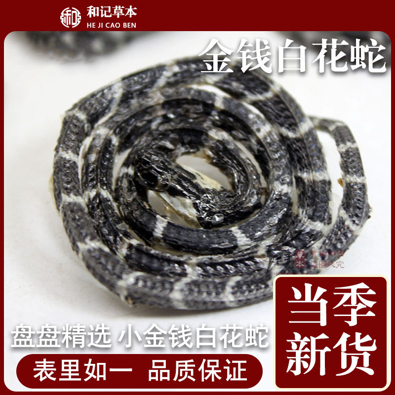 金钱白花蛇 小白花蛇养殖中药材 金钱蛇百节蛇银环蛇整条一条泡酒