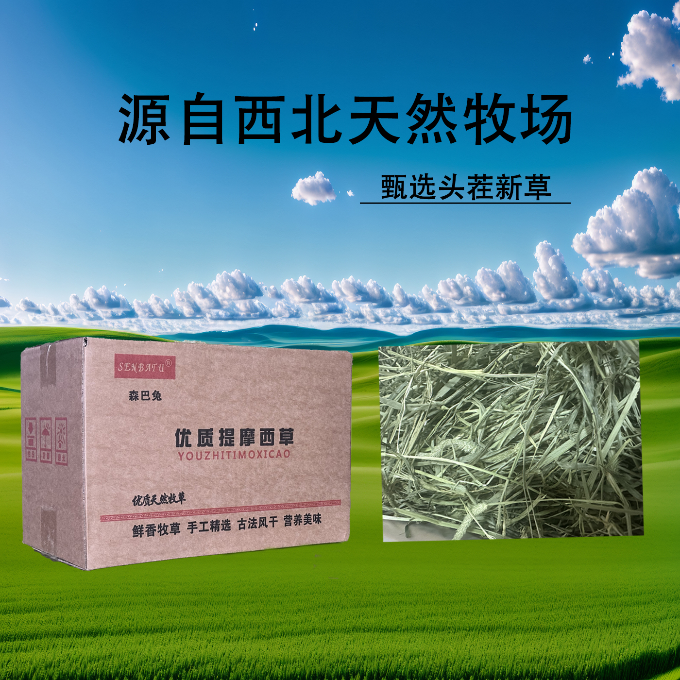 晒干提摩西草多叶西北牧场兔兔龙猫主草高纤维草毛重1公斤
