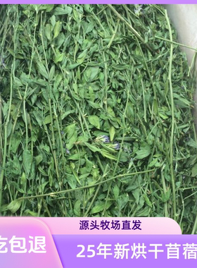 紫花苜蓿草牧干草兔子龙猫荷兰猪