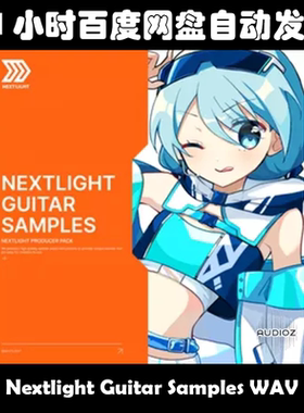 Nextlight Guitar Samples WAV素材包