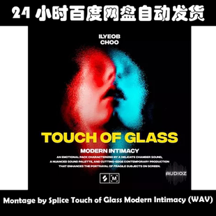 Montage by Splice Touch of Glass Modern Intimacy (WAV)素材包