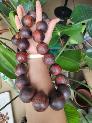 老挝大红酸枝木手串男女款文玩佛珠手链念珠手持红木佛珠交止黄檀