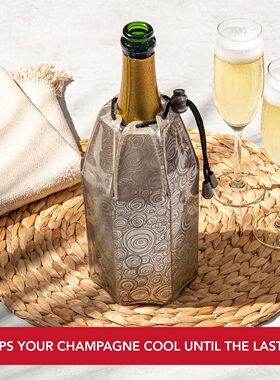 荷兰进口Vacu Vin家用红酒冰袋 快速降温冰镇器葡萄酒啤酒 冰酒袋