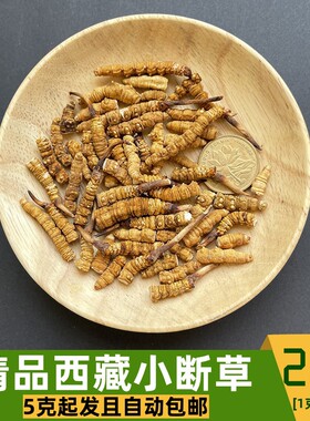 西藏野生那曲冬虫夏草买10克送1
