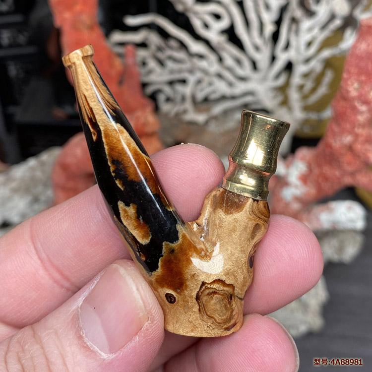 天然海柳烟嘴血柳活柳双重循环
