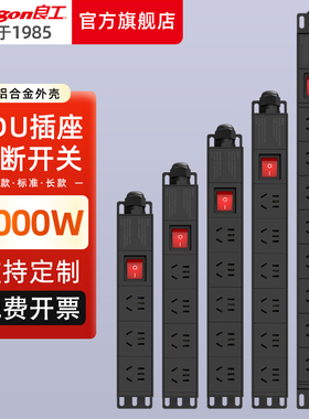 良工pdu机柜插座机房2-20位排插弱电箱专用电源插线板工业大功率