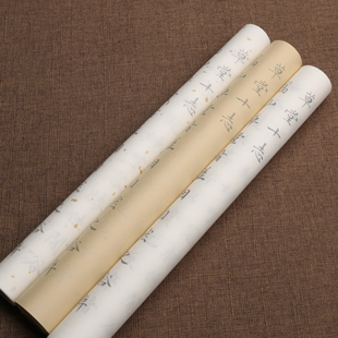 草堂十志明代书法家文征明小楷毛笔描红练习洒金仿古字帖定制批发