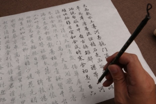 梁诗正行书骆宾王帝京篇毛笔描红练习临摹字帖批发订制