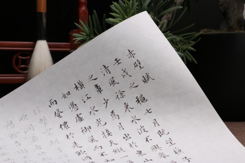 文征明小楷前后赤壁赋毛笔书纸描红字帖初学用临摹描字帖订制批发