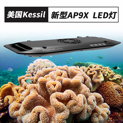 聚光AP9XLED185w新型海水缸