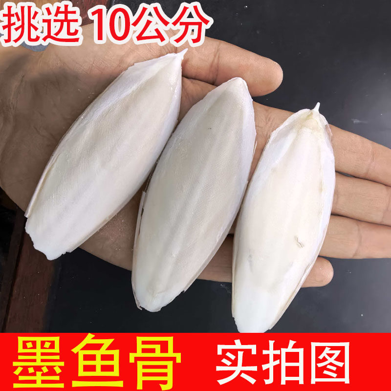 墨鱼骨乌贼骨墨鱼骨块鹦鹉补钙磨牙鸟食乌龟宠物仓鼠玩具脱盐无盐