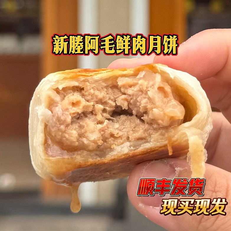 嘉兴特产新塍阿毛糕点店鲜肉月饼苏式现烤酥皮手工小吃老字号代买