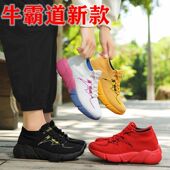 曳舞鞋 运动广场舞鞋 二妮老师推荐 牛霸道春秋跳操鞋 健身鞋 22028