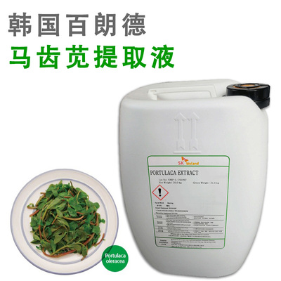 韩国马齿苋提取液马齿苋萃取