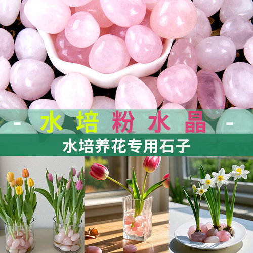 天然粉水晶郁金香水培石头水养花
