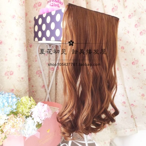Extension cheveux - Ref 225913 Image 4