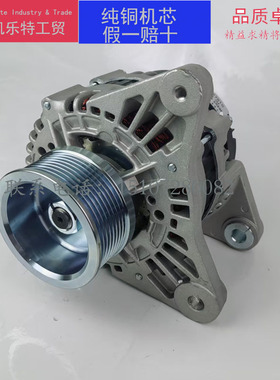 申湖JFZ270-0501发电机D20/D30/D25轻卡YNF40-70041云内江淮