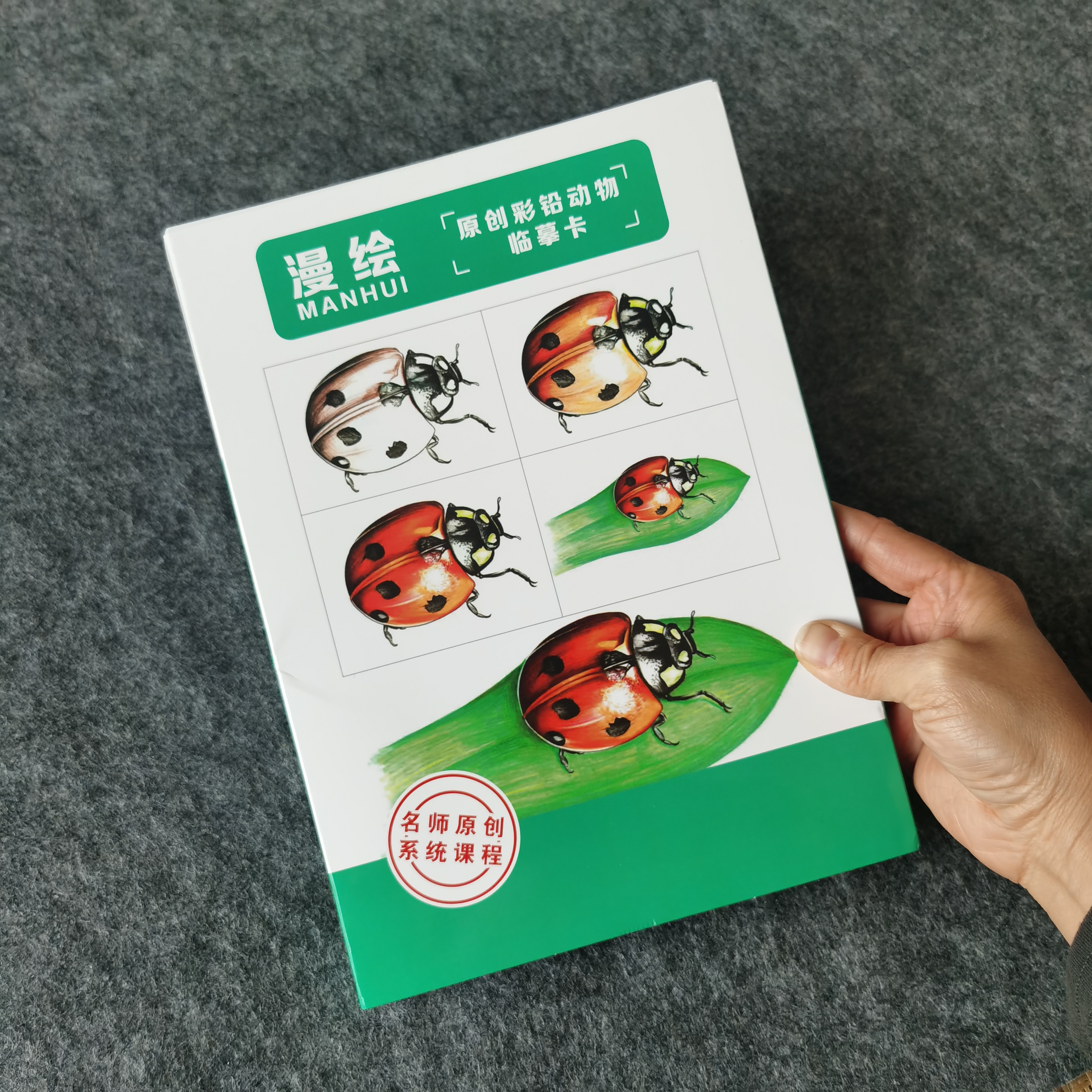画室临摹卡入门彩铅写实动物昆虫